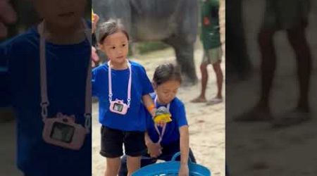 Elephant Sanctuary Phuket | The kids are not scared #familyvlog #thailand