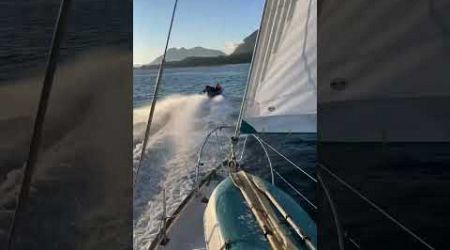 SPEEDBOAT NEARLY CRASHES INTO SAILBOAT