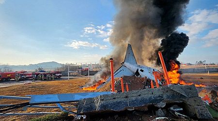 Dozens killed in S Korea as plane veers off runway and crashes: Report