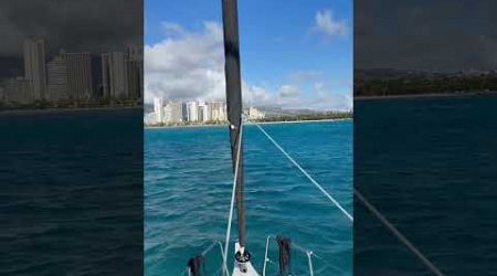 Anchored Waikiki Today