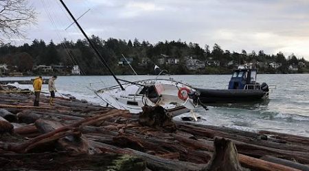 ‘It’s 100 per cent avoidable’: Another sailboat washes up along Cadboro Bay