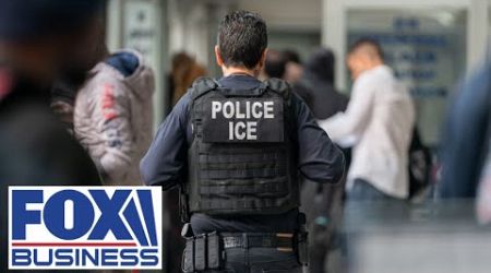 ICE ends service programs for illegal migrants