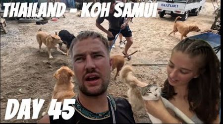 Day 1 On Koh Samui! Visiting dog and cat rescue! Day 45 in SE Asia