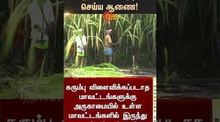 Pongal Gift | TN Govt Orders | Sugar Cane from farmers | MK Stalin | Sunnews