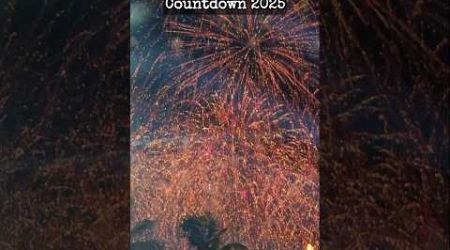 Pattaya, Thailand New Year Countdown 2025 #happynewyear #welcome2025 #newyear2025