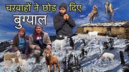 इतनी तेज बर्फबारी हुई, चरवाहों के अड्डे ही टूट गए Shepherd ￼Lifestyle, Hindi Documentary ￼| Arjun k