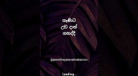 වහිනවෙලාවට මරුනෙ 