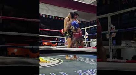 Samui inter Muay Thai boxing Stadium &amp; GYM