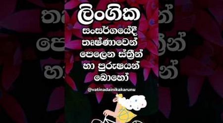 හම්බෝ මරු