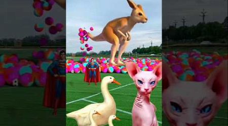 The mascot vibrato assistant placed on thefootball field is popular #shorts #viralshorts​​