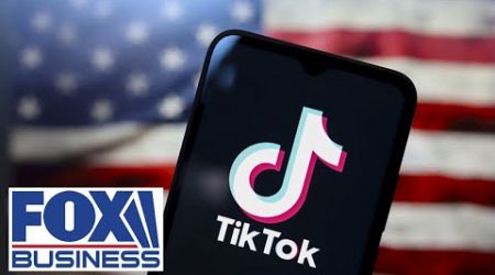 TikTok is currently spyware disguised as a business, potential buyer stresses