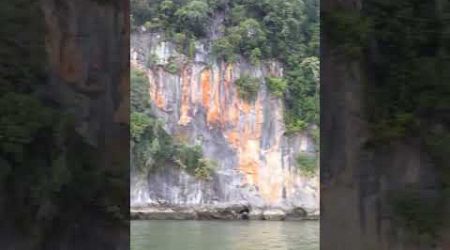 Phang Nga bay, amazing #mothernature #limestone cliffs #jungle #mangrove #jamesbond #panyee island