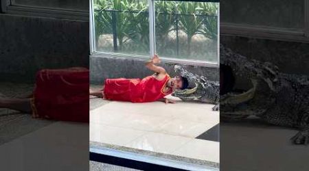 Guy Puts His Head inside a Crocodile’s Mouth in Phuket Thailand! #shorts #crocodile #crazy #show