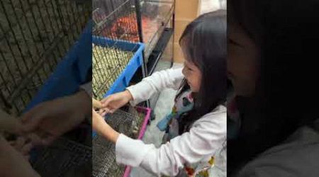 Daughter shakes hands with a prairie dog in Bangkok, Thailand