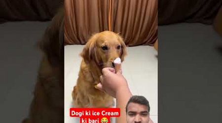 dogi ki ice cream