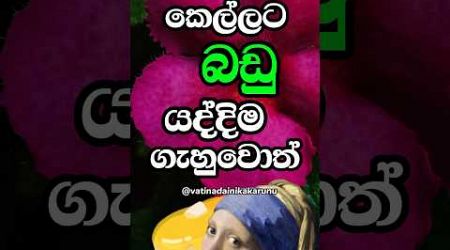 ඔයා නම් දන්නෙ නැතුව ඇති මේ ගැන 