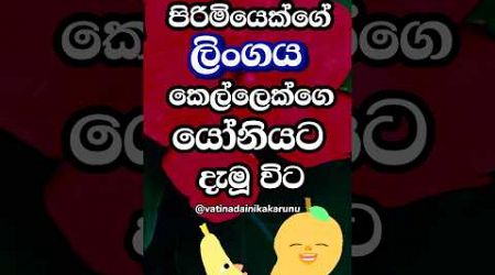 හම්බෝ මරු