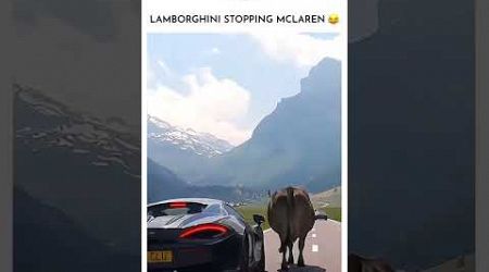 LAMBORGHINI OR MCLAREN 