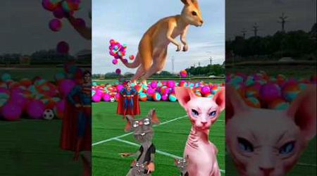 The mascot vibrato assistant placed on thefootball field is popular #shorts #viralshorts​​