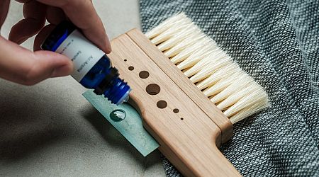 The Clothes Brush That Fragrances While It Cleans and Protects Your Wardrobe