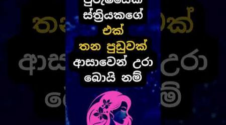 දන්නවද එයාලට කරන දේ 