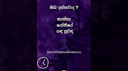 හම්බෝ ඔයාට හිතාගන්නවත් බෑ මේක 