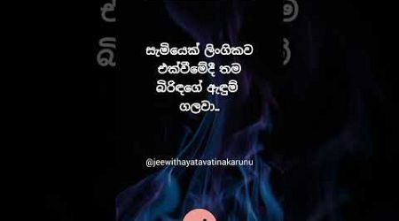 බිරිඳට අන්තිමට ඕක තමයි