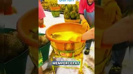 Fungsi Pencelupan Cairan Untuk Buah Durian Di Negara Thailand #shorts #faktaunik