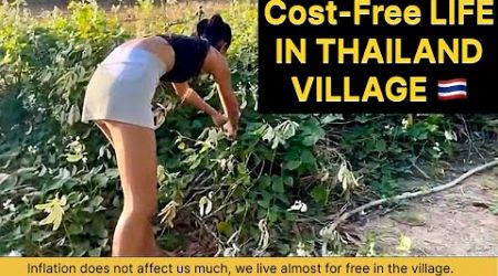 COST-FREE Life in THAILAND 