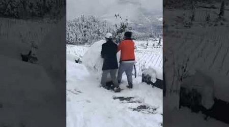 #snow #snowfall #winter #ice #travel #shortsvideo #facts #spacecfacts #comedyfilms #bhojpuri