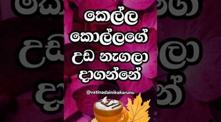 හම්බෝ මරු