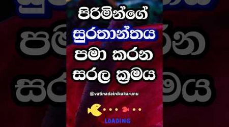 මෙන්න වැඩි වෙලාවක් අල්ලන් ඉන්න ක්‍රමයක් 