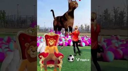 The mascot vibrato assistant placed onthe football field is popular, co-produced, creative new spe