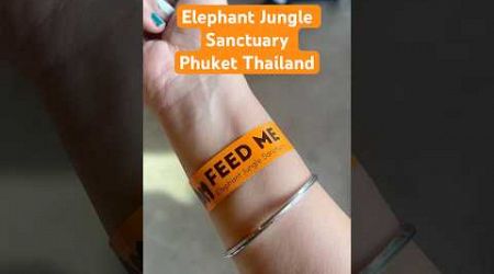 Elephant Jungle Sanctuary in Phuket Thailand | #elephantsanctuary #phuket