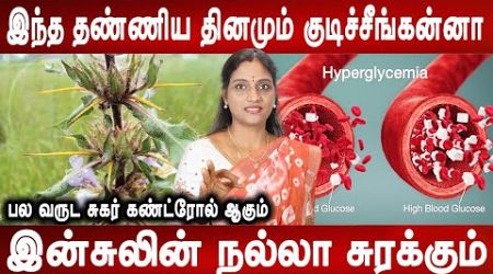 சாப்பாட்டுக்கு இந்த துவையல் தொட்டுக்கோங்க| Sugar control tips | Dr.Nithya | Health tips | Mr ladies