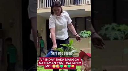 MANGGA TREE? #shorts #trending #ofw #tree #vpsara #shortvideos #vpsara #prrd #politics #duet