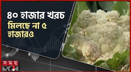 জমির ফুলকপি পড়ে আছে জমিতেই | Agriculture News | Vegetable Price | Somoy Business