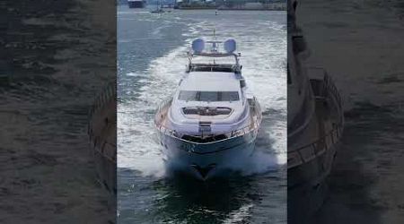 Leopard in Miami Beach! Is this a 10? #yacht #yachting #boat #boating #yachtingworld #boatworld