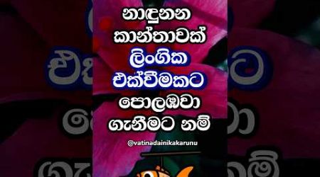 මෙහෙම කරොත් නම් වැඩේ ගොඩ 