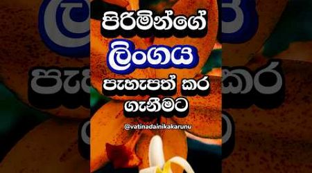 නෙළුම් පොහොට්ටුව වගේ රත්පැහැ වෙන ක්‍රමේ 