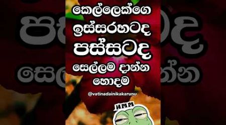 ඔයා නම් මේ ගැන දන්නෙ නැතුව ඇති 