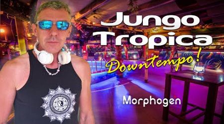 Morphogen | Downtempo | Koh Samui Beachclub Set