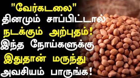 வேர்க்கடலை மருத்துவ நன்மைகள்! | Groundnut Health Benefits in Tamil| Peanut Health Tips in Tamil