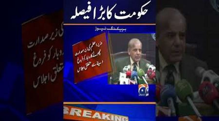 Govt Big Decision regarding Small Industries | Breaking News | PM Shehbaz | Geo News