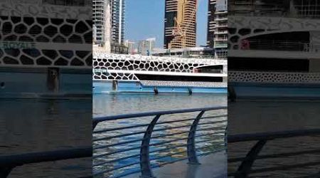 Attractive Yacht marina Dubai 