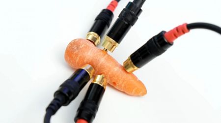 The Audiophile Carrot