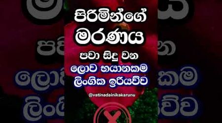 ඔයත් මේක කරනවනම් අදම නවත්වන්න 