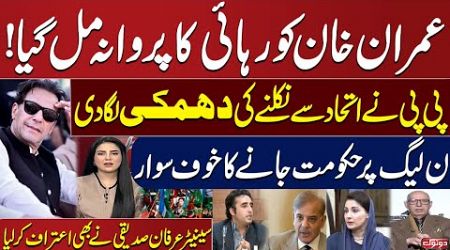 Govt Will Collapse Without PPP&#39;s Support: PML-N in Trouble | Senator Irfan Siddiqui Also Admits