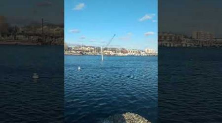 View of the bay and yachts on a sunny January day