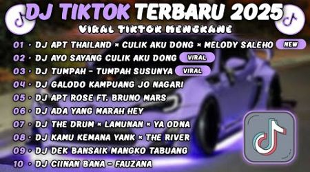 DJ TIKTOK TERBARU 2025 || DJ APT THAILAND × CULIK AKU DONG 